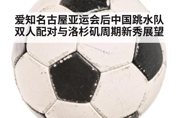 爱知名古屋亚运会后中国跳水队双人配对与洛杉矶周期新秀展望